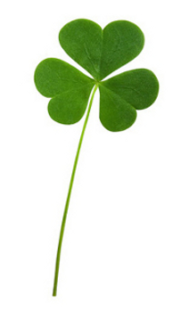 horticultura-logo-kleeblatt