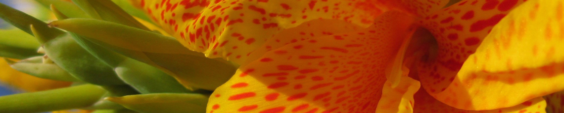 horticultura – Gartenkurse und Gartengestaltung in Fürstenfeldbruck