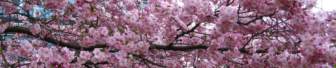 horticultura – Gartenkurse und Gartengestaltung in Fürstenfeldbruck