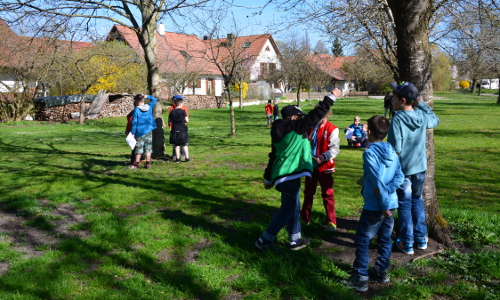 brucker-land-schule-streuobstwiese