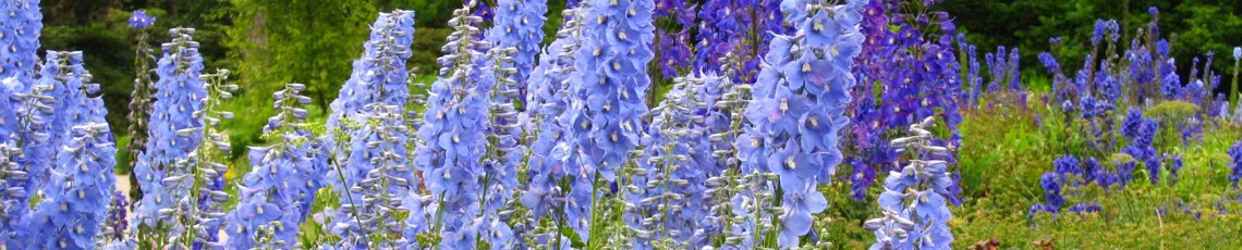 horticultura – Gartenkurse und Gartengestaltung in Fürstenfeldbruck